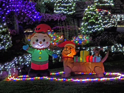 Yard Display