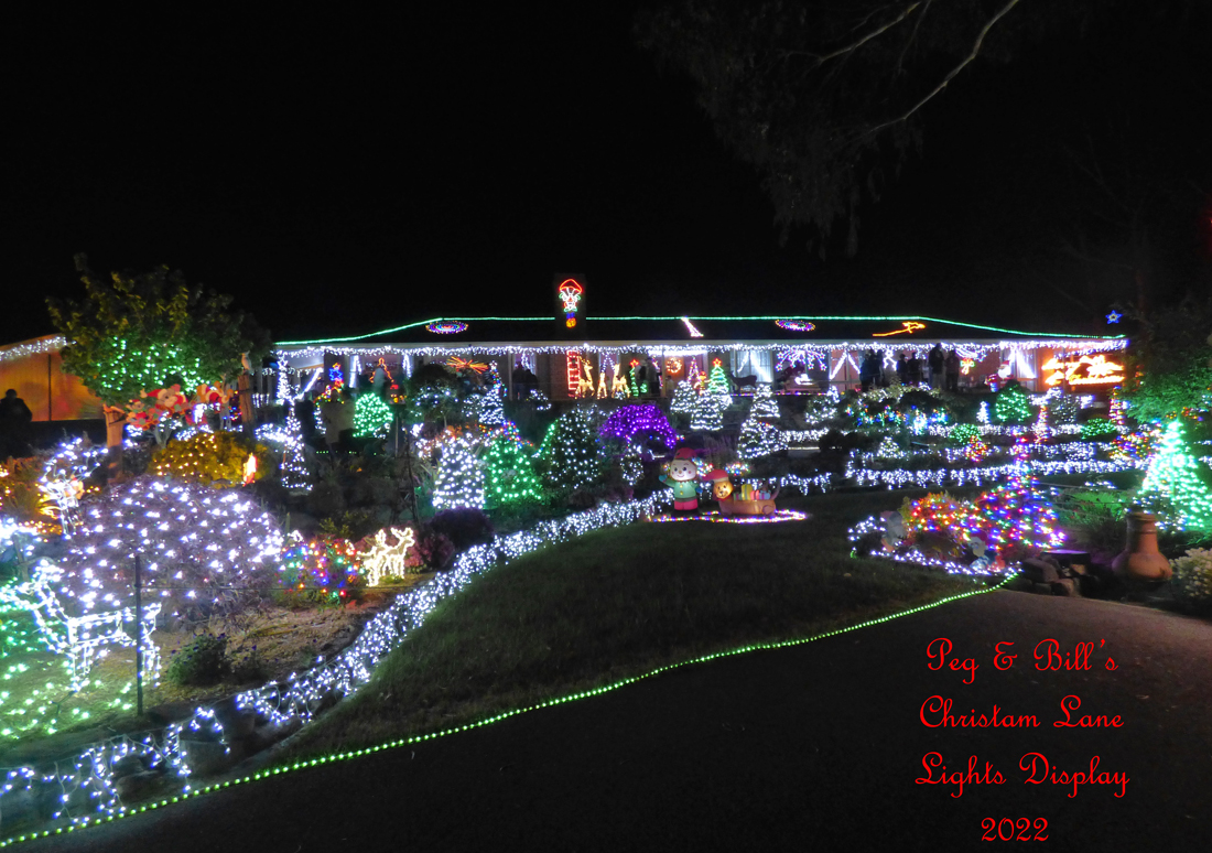 Christmas Lane Display