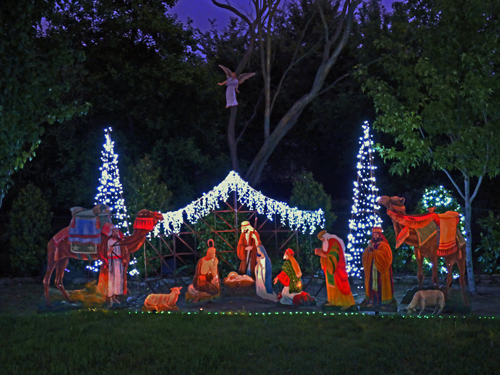 Yard Display