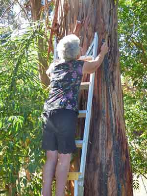 Peg removing lights