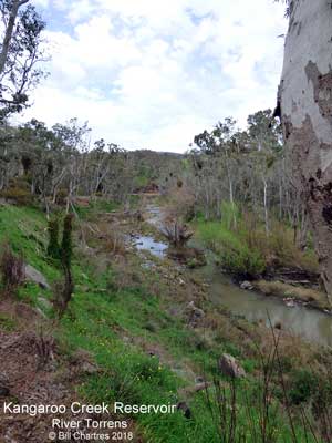 River Torrens September 2018