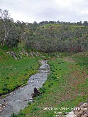 Kangaroo Creek Reservoir