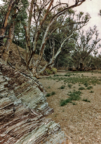 Chambers Gorge