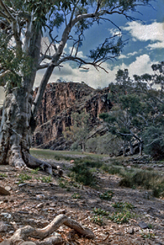 Chambers Gorge
 - 1987