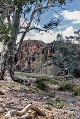 Chambers Gorge