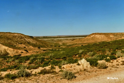 Above Dalhousie H.S. Ruins 1988