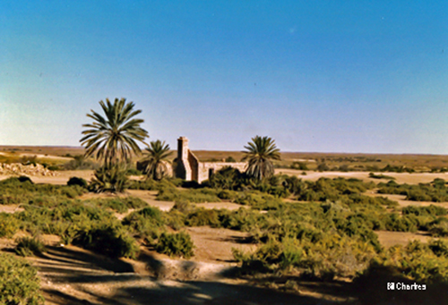 Old Dalhousie Homestead ruins - 1988