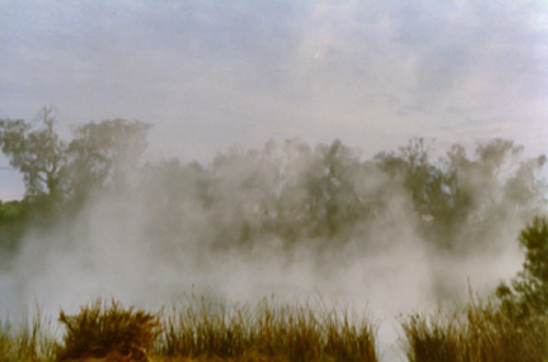 Dalhousie Springs