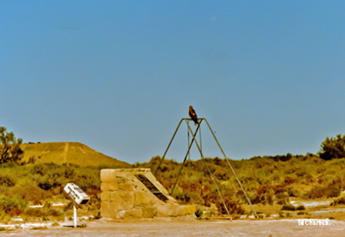 Dalhousie Camp Grounds