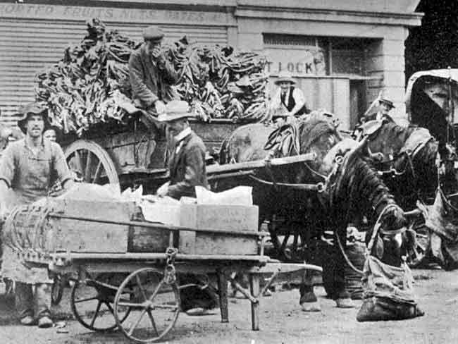 Back to 1903. This early morning at the East End Market, where sellers are waiting for buyers.