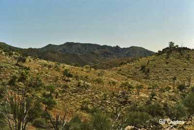 Track to Grindells Hut, Gammon Ranges National Park