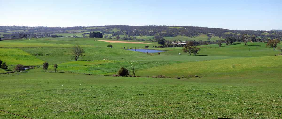 Lobethal scene