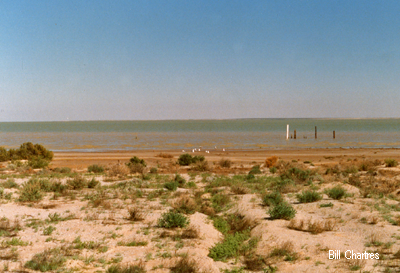 Level Post Bay 
- Lake Eyre