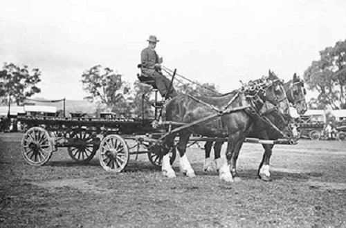 Delivery cart