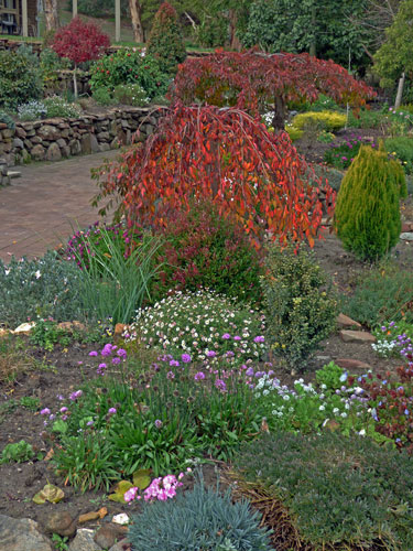 Front garden - Autumn