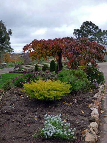 Front garden - Autumn