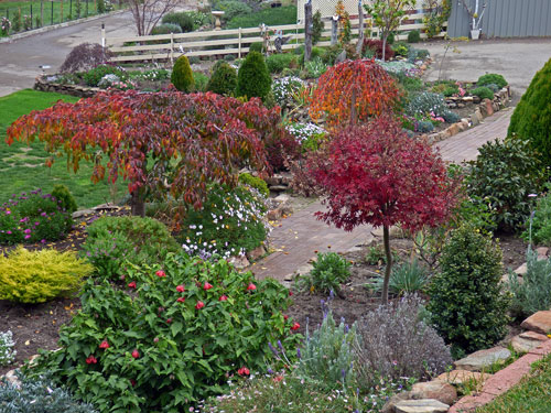 Front garden - Autumn