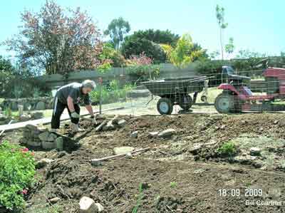 Peg building rock walls in our back garden