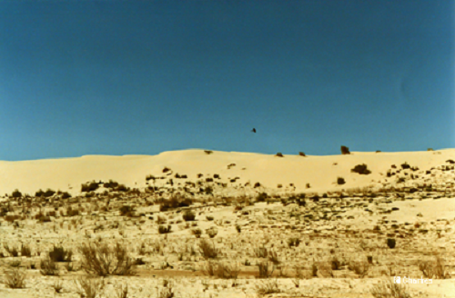 White sand dunes