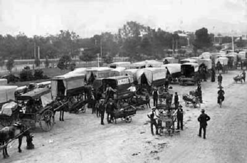 Greengrocers carts