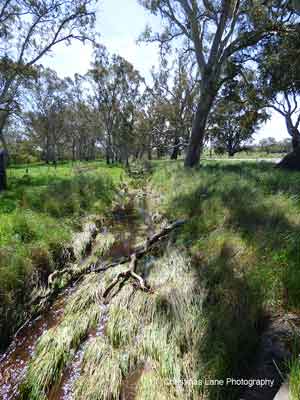 The River Torrens, Golf Links Road, Mount Pleasant