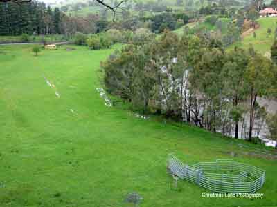 The River Torrens, Gorge Rd. near Tippet Rd.