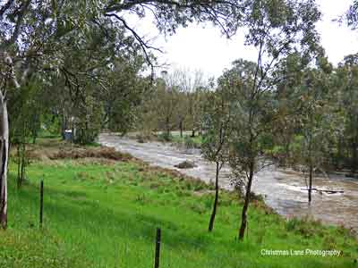 The River Torrens, Banks Road, Cudlee 
Creek, SA