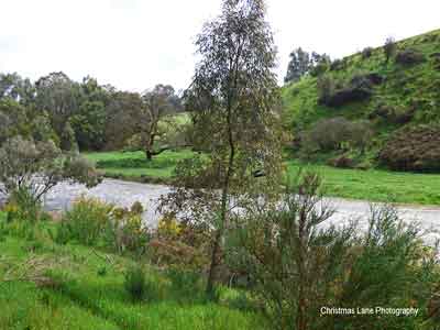 The River Torrens, Banks Road, Cudlee Creek, SA.