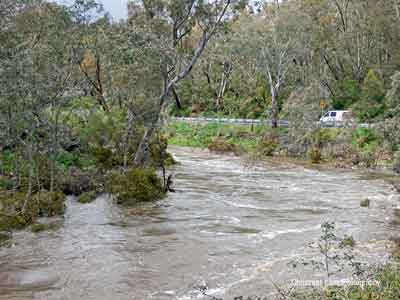 The River Torrens, Gorge Rd. below Prairie Rd.