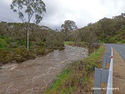 The River Torrens, Gorge Rd. below Prairie Rd.