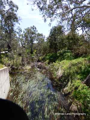 The River Torrens, 
Talunga Park Road, Mount Pleasant