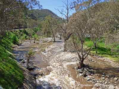 The River Torrens, below the Playford Bridge, Castambul, SA.