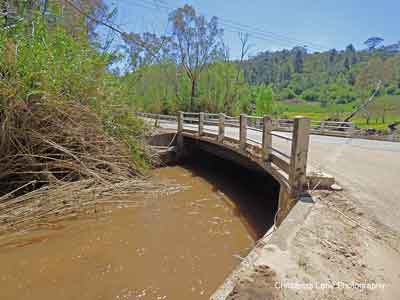 Sixth Creek, flowing into the River Torrens under the Sixth Creek Bridge, 
Gorge Rd., Castambul, SA.