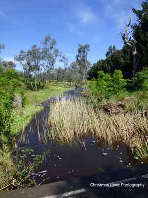 The River Torrens,
 Cromer Road, Mount Pleasant