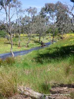 The River Torrens, Cromer Road, Mount Pleasant, SA