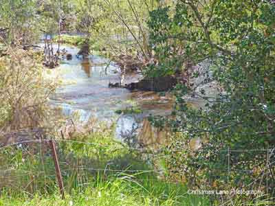 The River Torrens, Torrens Valley Road, Gumeracha, SA