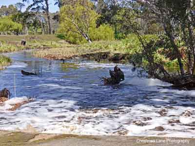 The River Torrens, Black Snake Road, Birdwood, SA