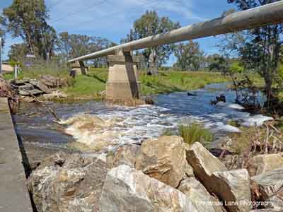 The River Torrens, Black Snake Road, Birdwood, SA