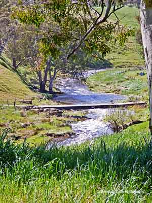 The River Torrens, Torrens Valley Road, Gumeracha, SA