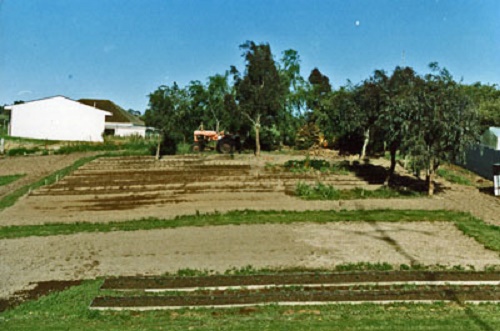 Photo - The North West corner of the block,
 before the plastic
 house was erected