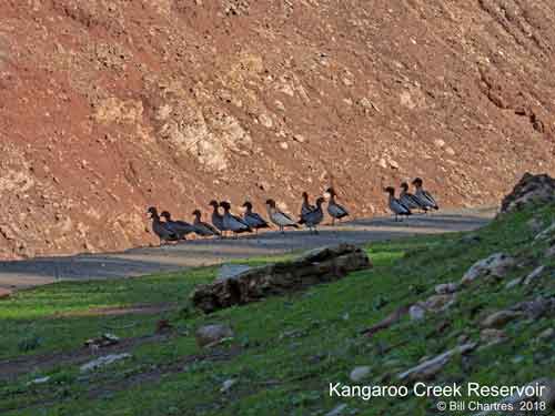 Kangaroo Creek Reservoir