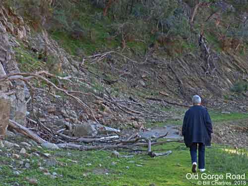 Old Gorge Road