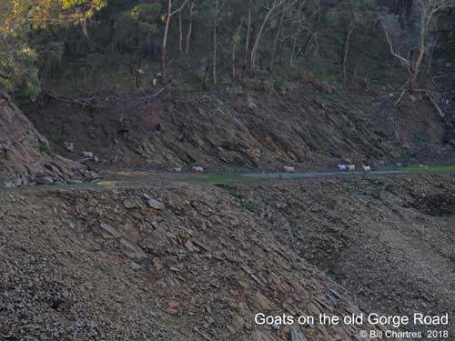 Old Gorge Road