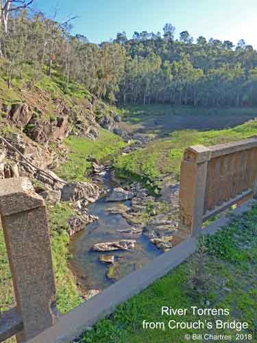 River Torrens