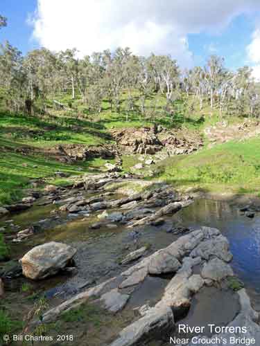 River Torrens