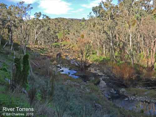 River Torrens