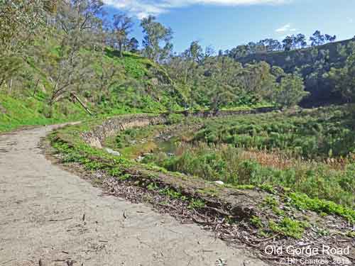 Old Gorge Road