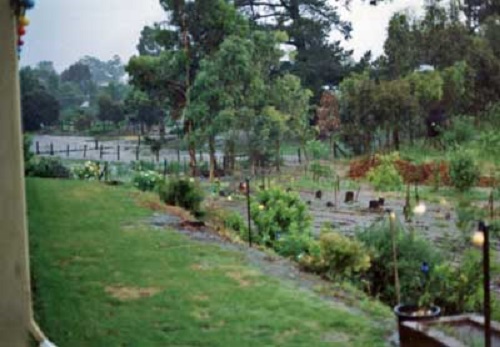 Flooding at Lobethal