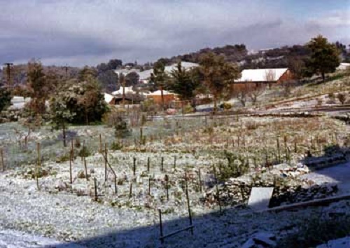 Photo snow at Lobethal