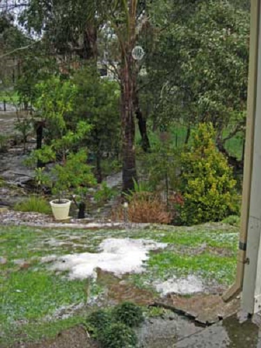 Hail at Lobethal